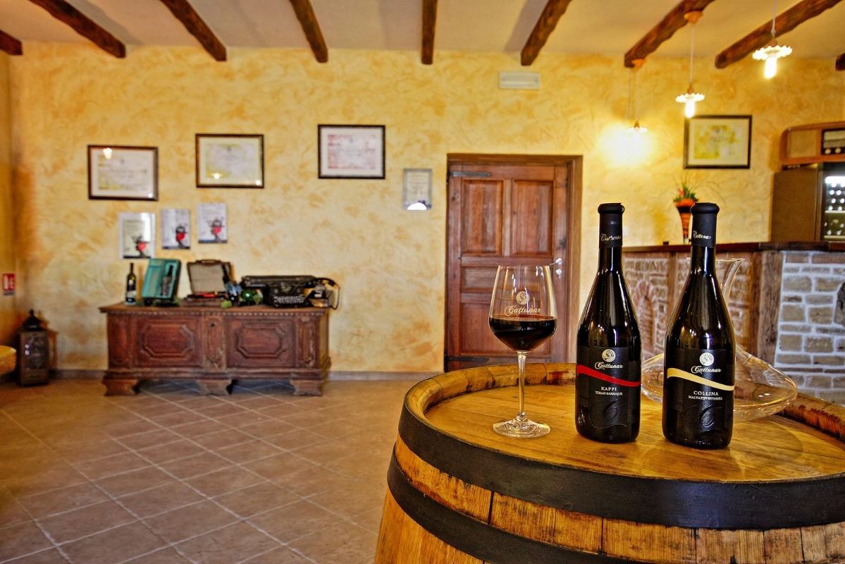Degustacije vina u vinskom podrumu