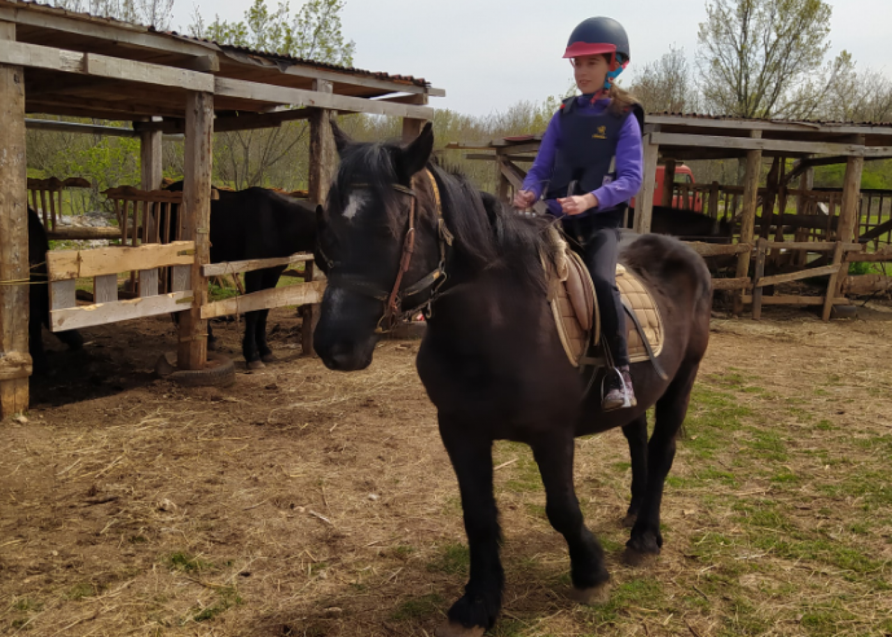 THERAPY HORSE RIDING IN PULA