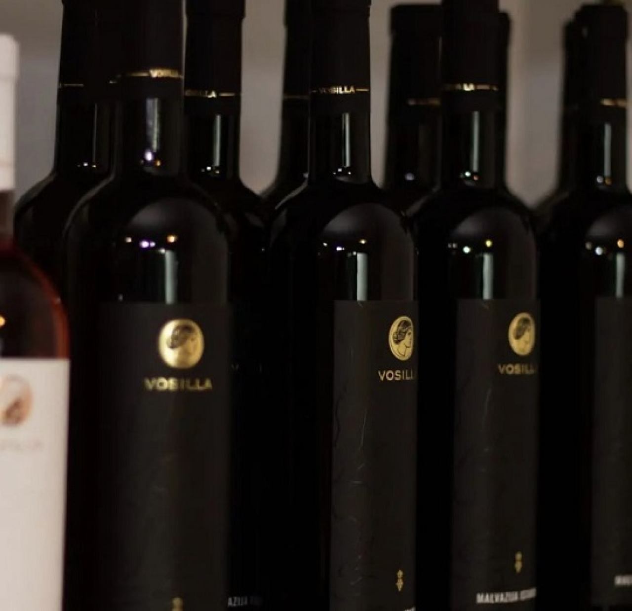 WINE TASTINGS