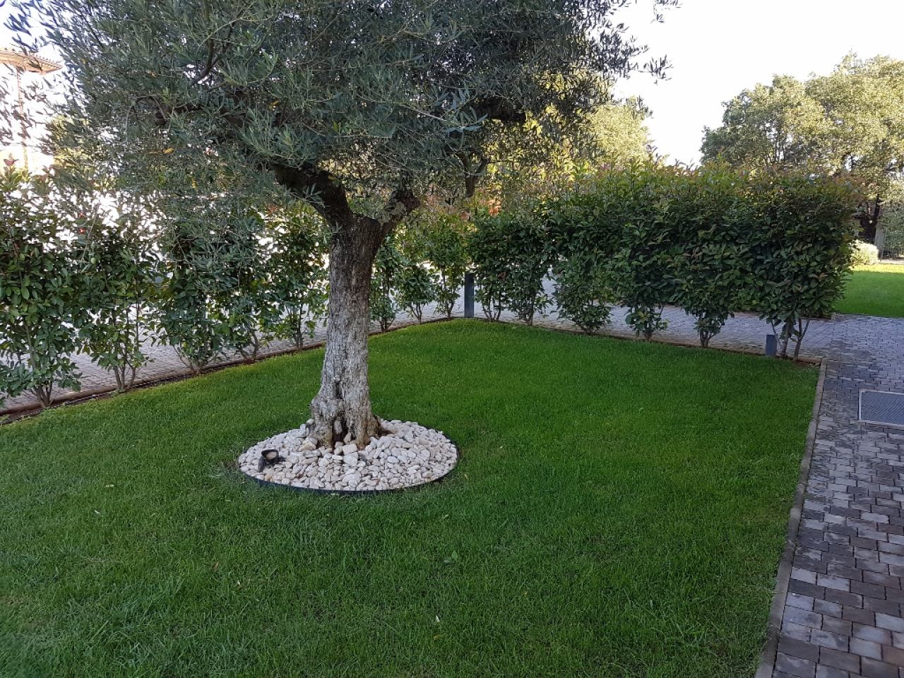 PROJEKTIRANJE I UREĐENJE OKOLIŠA, OKUĆNICA