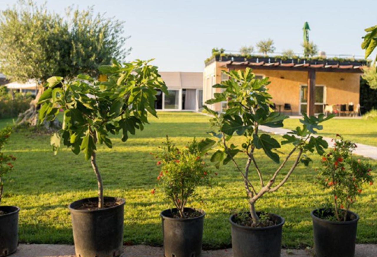 HORTIKULTURNO UREĐENJE