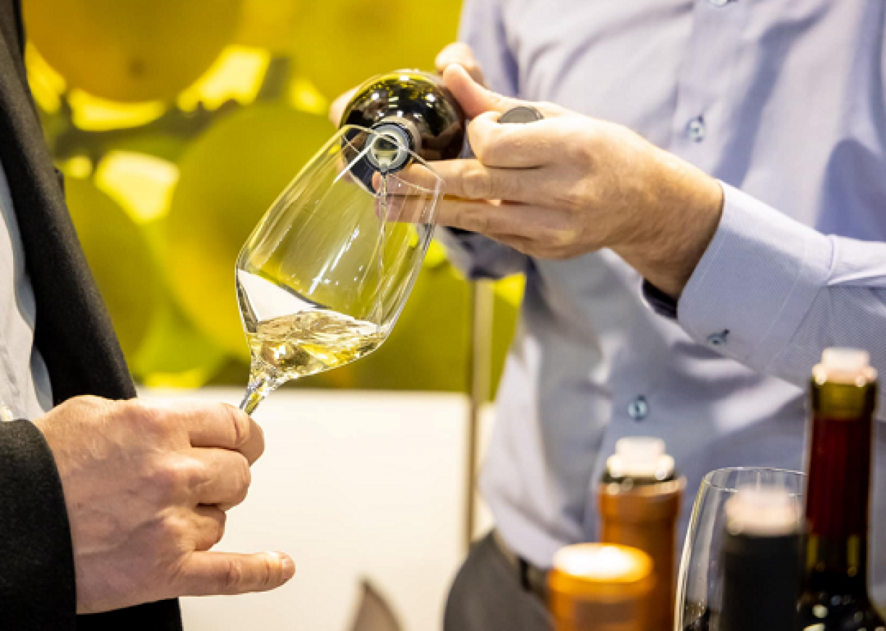 WINE TASTING IN BUJE