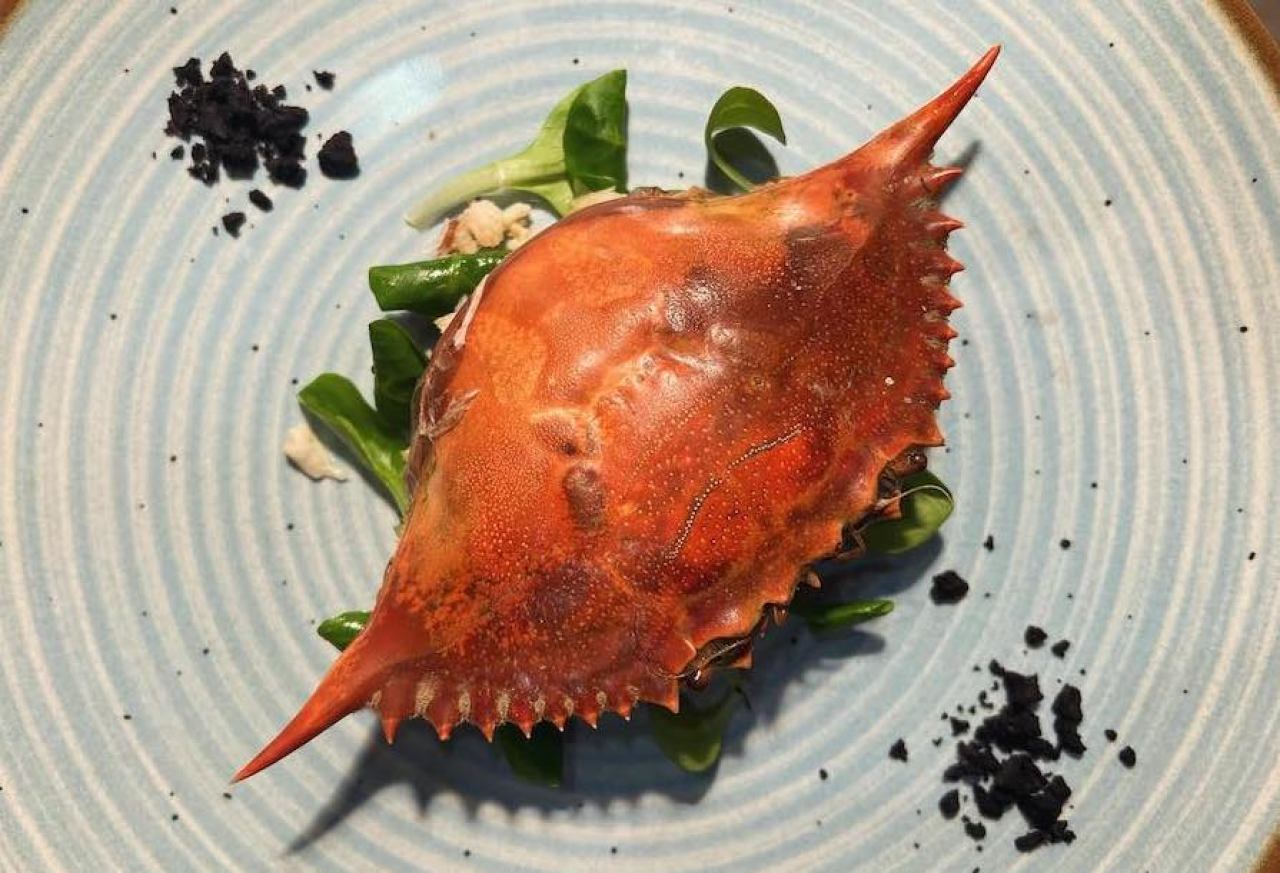 FISH DEGUSTATION