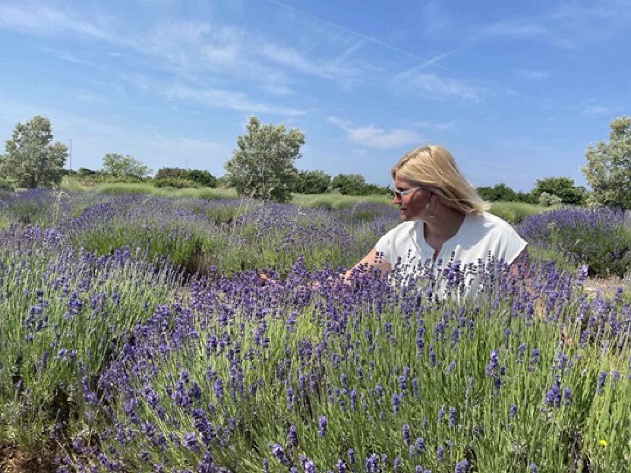 UZGOJ AROMATIČNOG BILJA