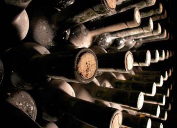 Degustacija vina