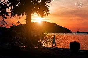 Dvi palme, Vrsar, Poreč