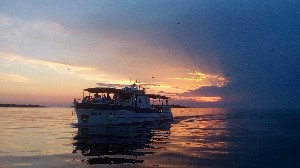 Boat trip Pula, Istra, Croatia