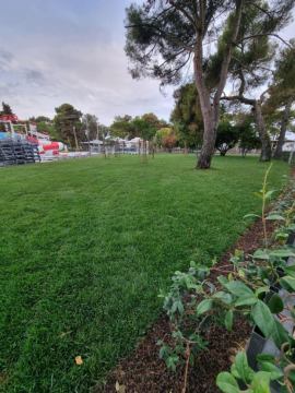 Hortikulturalno uređenje 