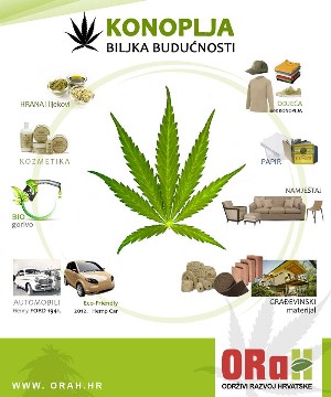 Infografike