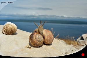 Obrada fotografija