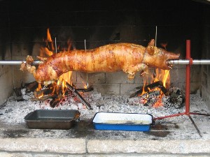 Najbolji ovčji sir, Krk