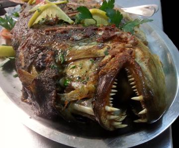 Pesce alla griglia, Rab