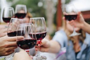 Winetworking: Zanimljiv event nakon kojeg vas očekuje i vinski party