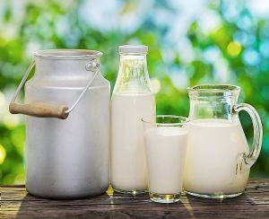 Rekordne cijene otkupa domaćeg mlijeka