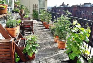 Pogledajte što i kako možete sijati i saditi na vlastitom balkonu ili terasi