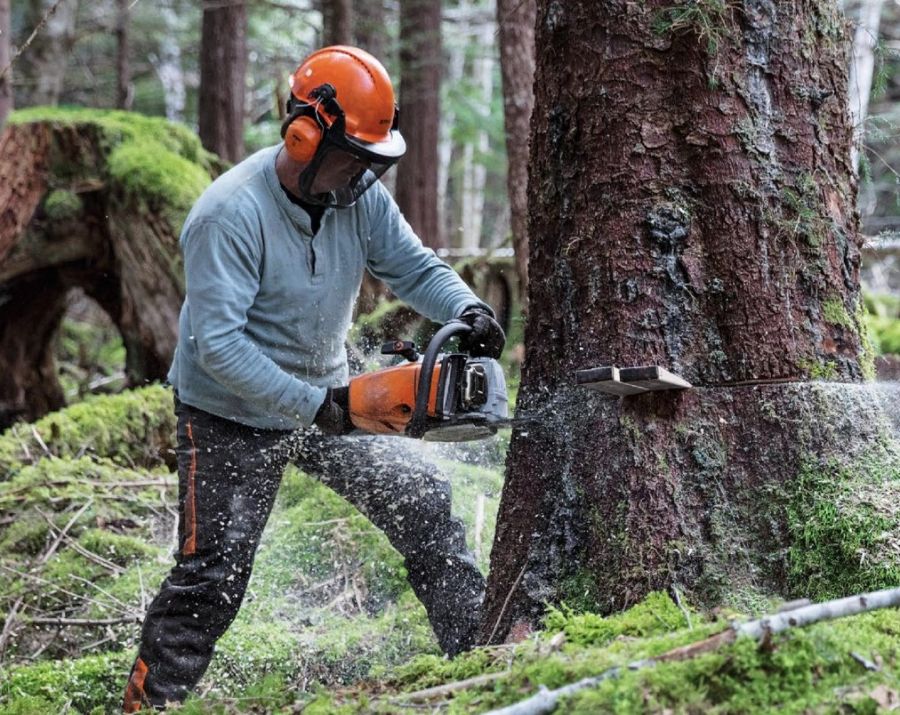 stihl pile 